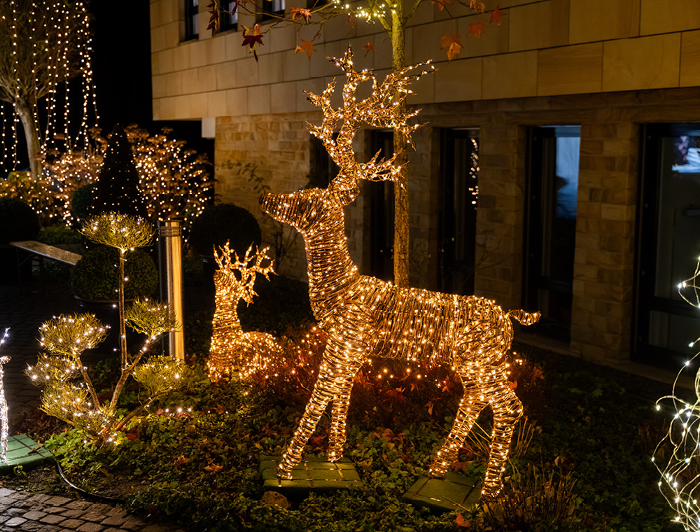 Fitnessbereich mit Laufbändern, Crosstrainern und Ergometern im Unternehmenssitz im Beratungs- und Software-Hauses markmann + müller in Herdecke.