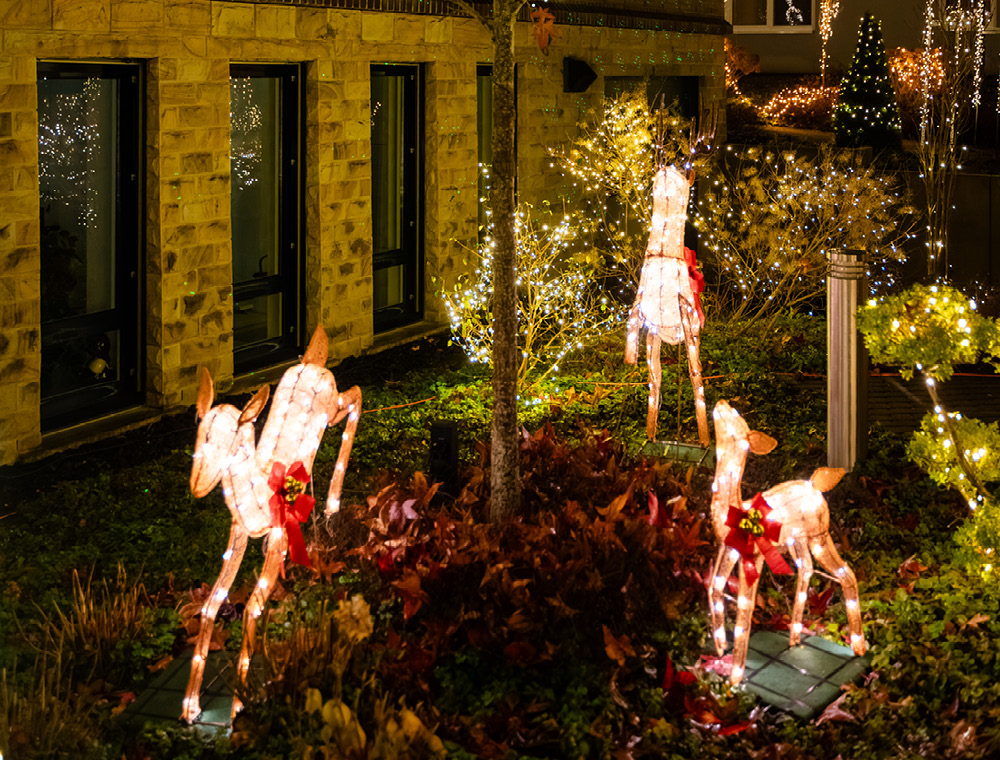 Crosstrainer und Vibrationsplatte im Fitnessbereich des Unternehmenssitzes markmann + müller in Herdecke.